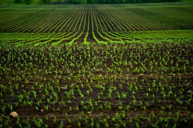 seguro explotación agropecuaria